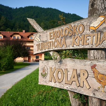 Tourist Farm Kolar Villa Ljubno Bagian luar foto
