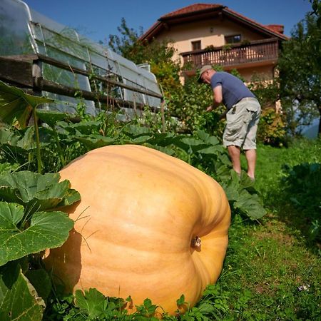 Tourist Farm Kolar Villa Ljubno Bagian luar foto