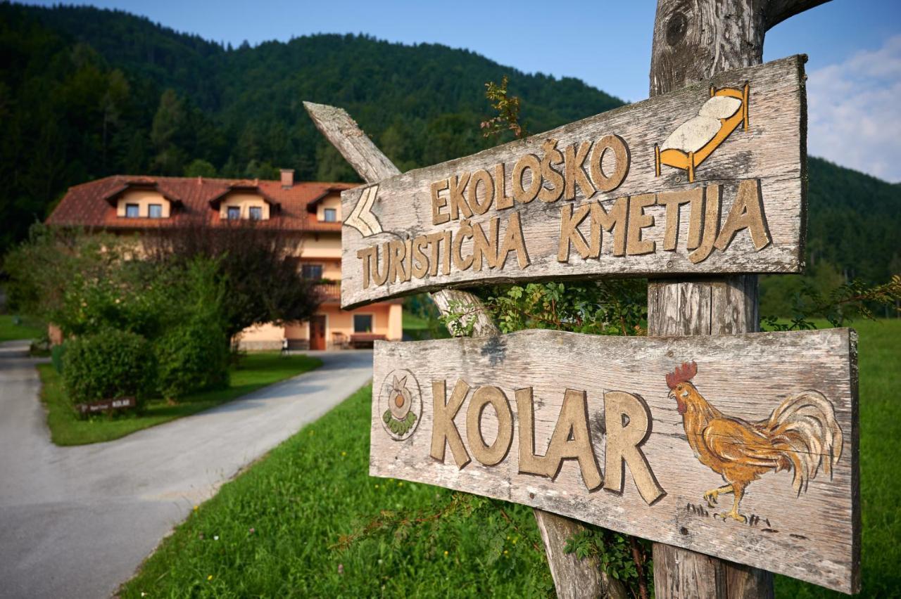 Tourist Farm Kolar Villa Ljubno Bagian luar foto