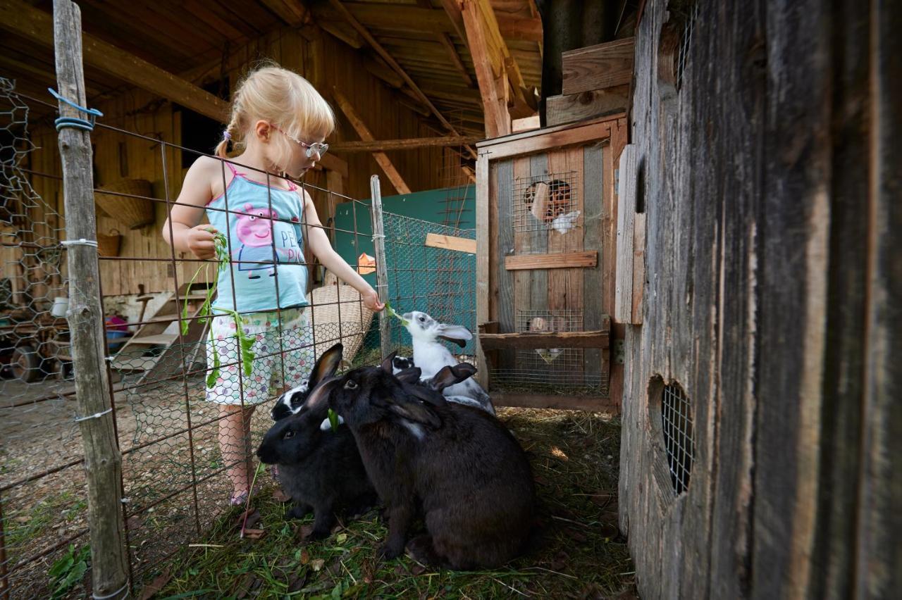 Tourist Farm Kolar Villa Ljubno Bagian luar foto