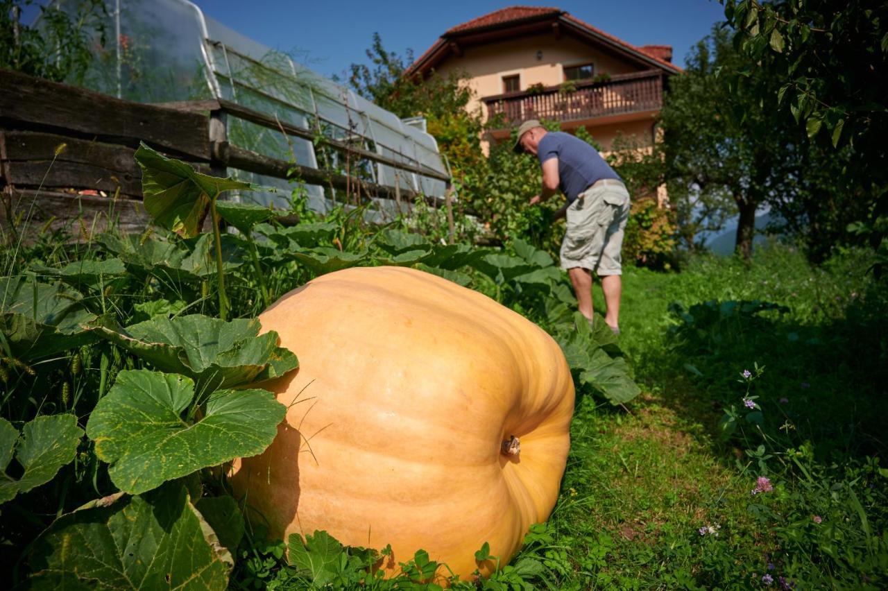 Tourist Farm Kolar Villa Ljubno Bagian luar foto