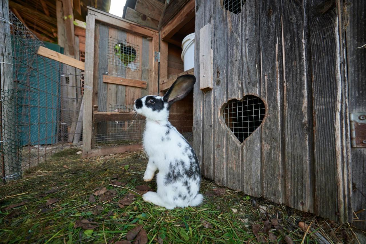 Tourist Farm Kolar Villa Ljubno Bagian luar foto