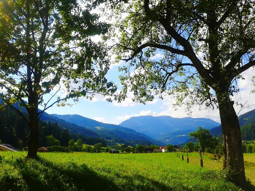 Tourist Farm Kolar Villa Ljubno Bagian luar foto
