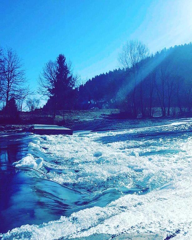 Tourist Farm Kolar Villa Ljubno Bagian luar foto